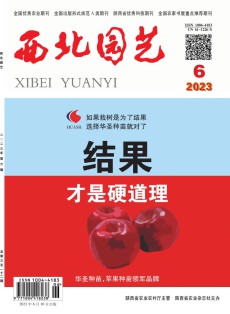 西北园艺·综合